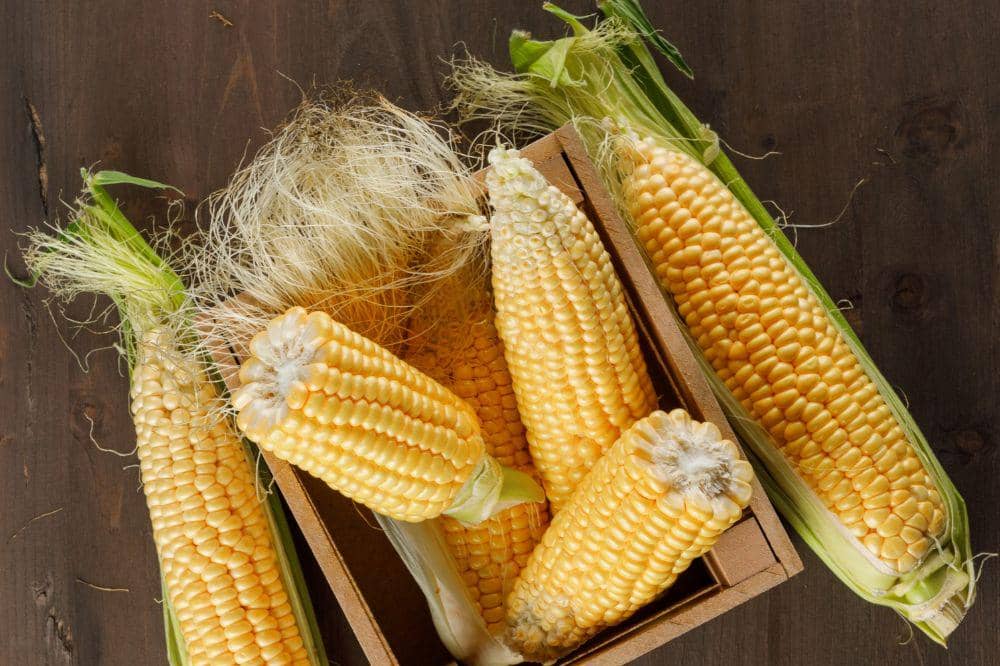 Manfaat Rambut Jagung, Bisa Dikonsumsi dan Baik untuk Kesehatan