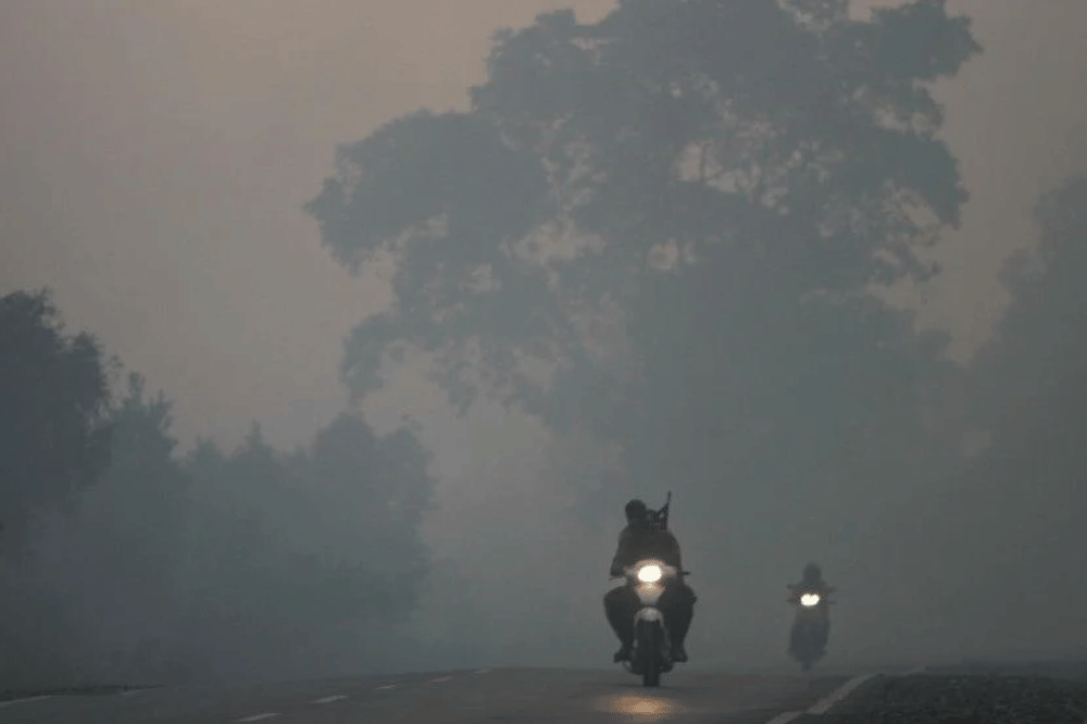 Asap tebal akibat kebakaran hutan dan lahan di Kalimantan