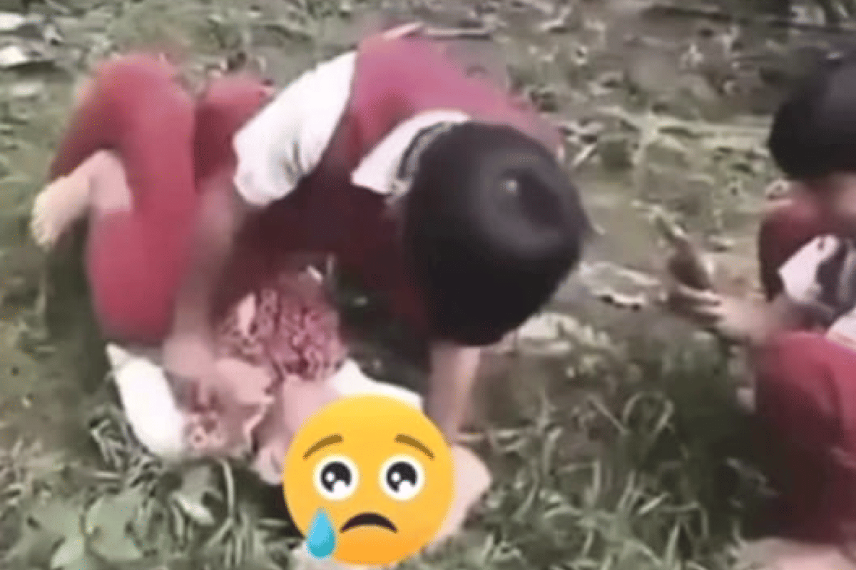 Teman-teman sebayanya tidak berusaha untuk menolong korban bully