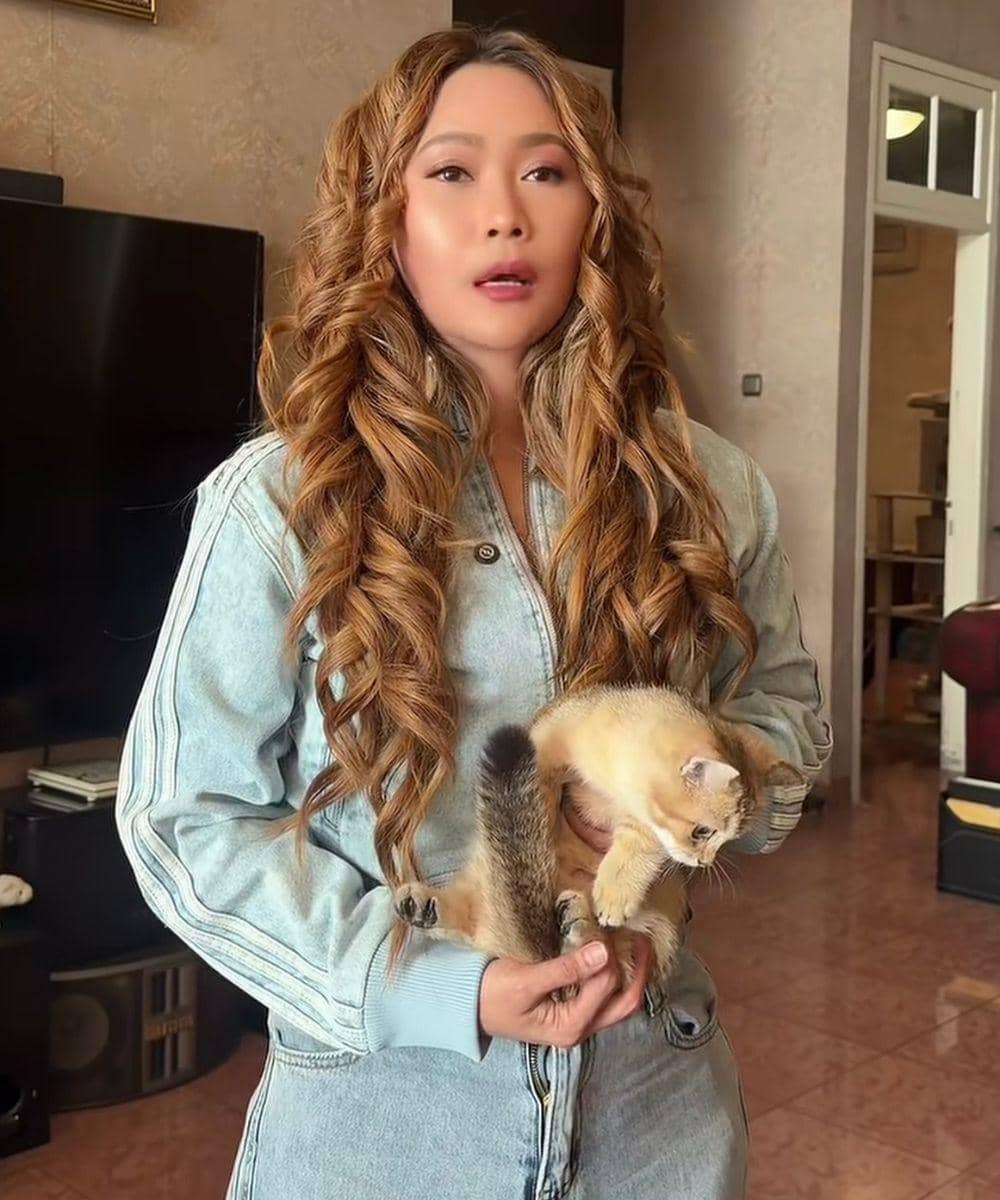 Kucing Inul Daratista Sempat Hilang