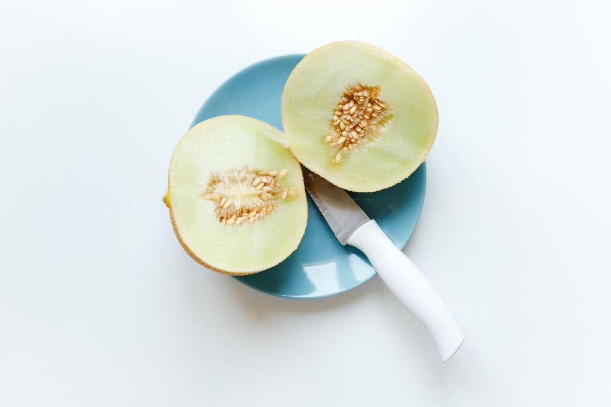 E. coli ditemukan pada sampel melon