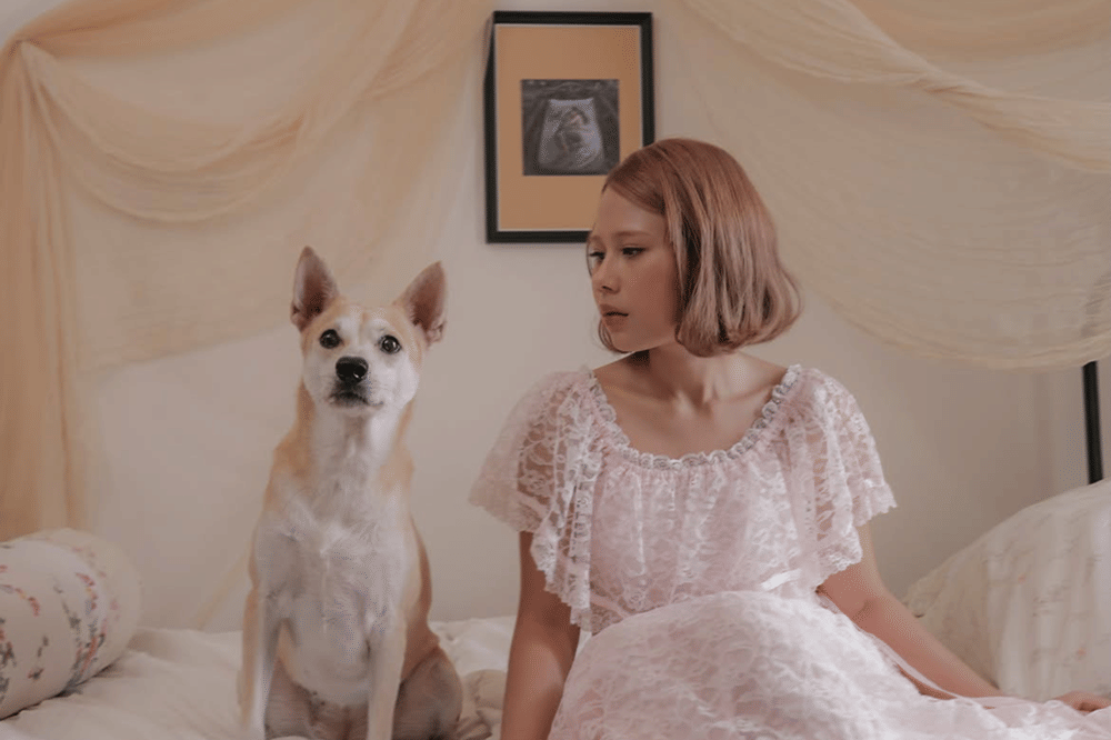 Nadin Amizah Libatkan Anjing Shelter di Album Terbarunya