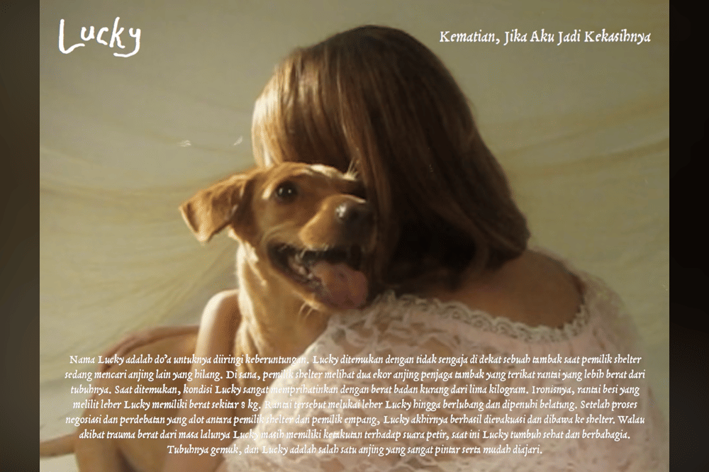 10 Kisah Anjing di Album Visualizer Nadin Amizah