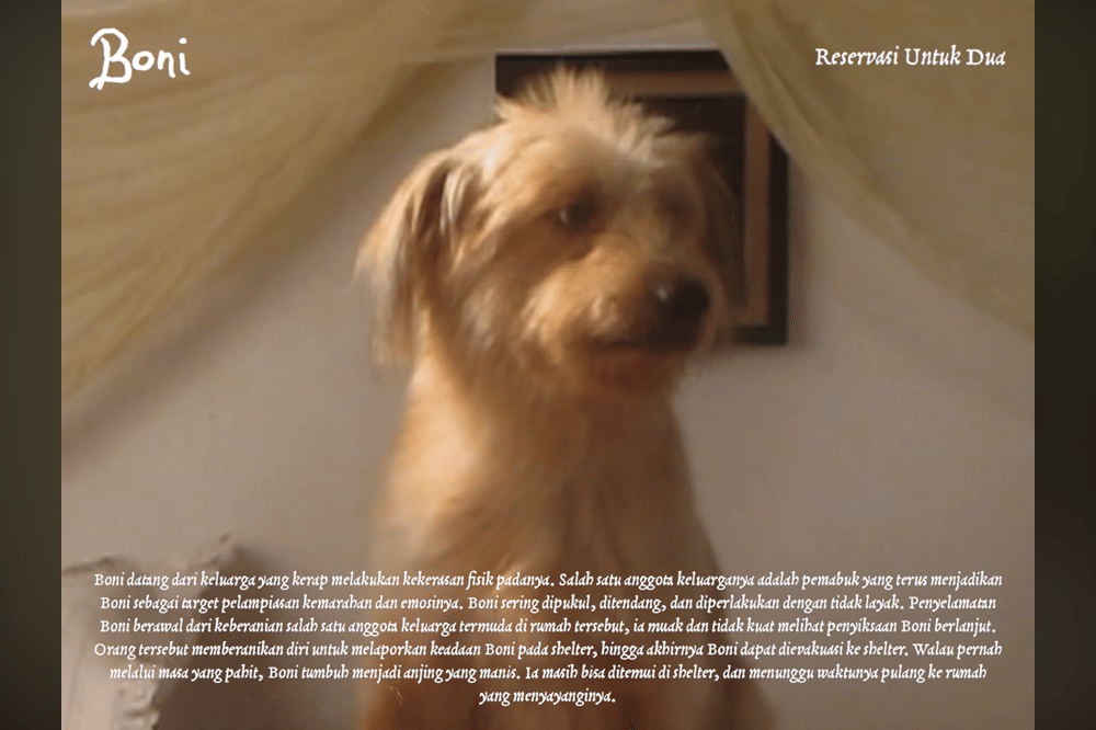 10 Kisah Anjing di Album Visualizer Nadin Amizah