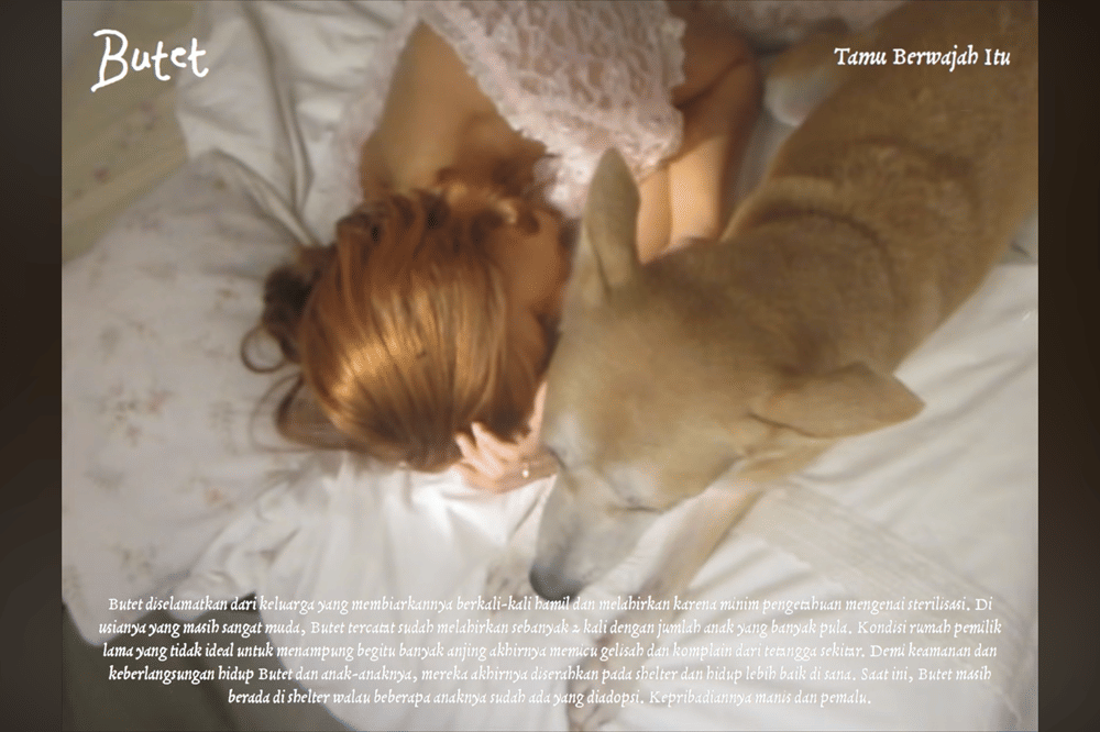 10 Kisah Anjing di Album Visualizer Nadin Amizah