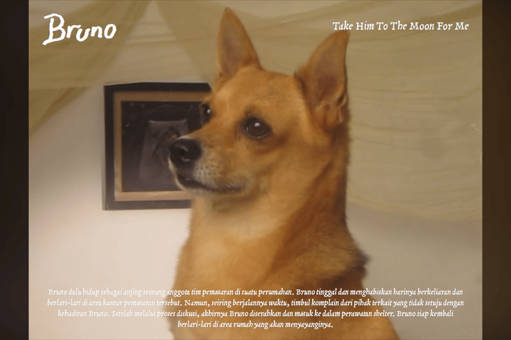 10 Kisah Anjing di Album Visualizer Nadin Amizah