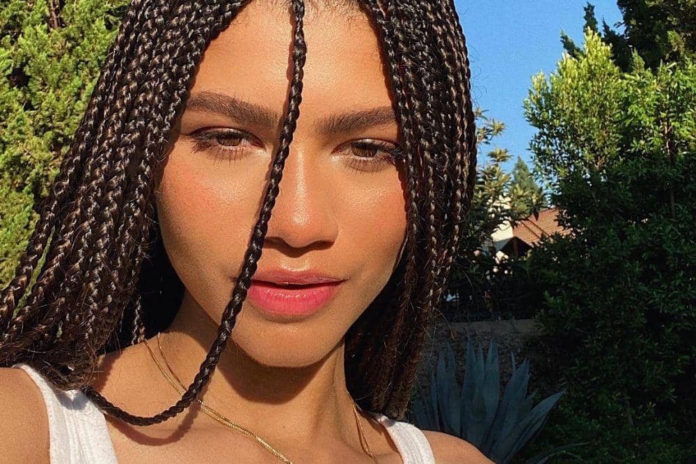 Penampilan Zendaya di televisi lainnya