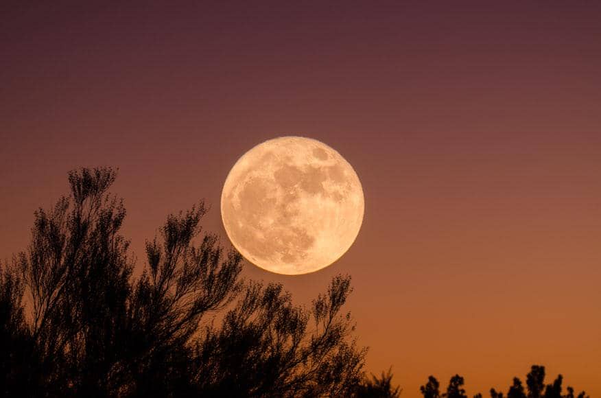 Harvest Moon