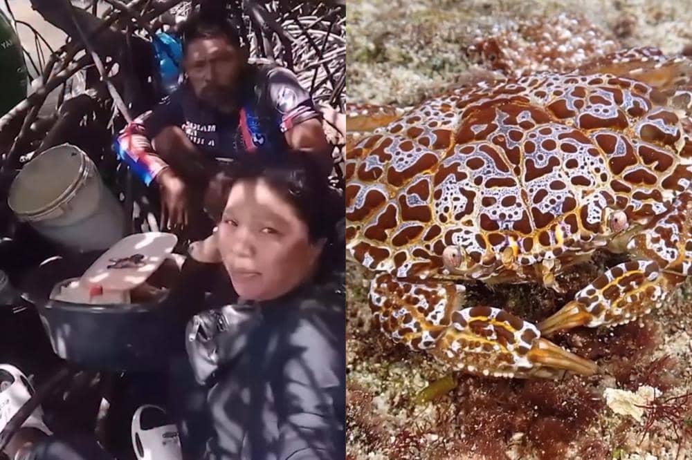 Kronologi Food Vlogger Filipina Tewas usai Makan Devil Crab, Kenapa?