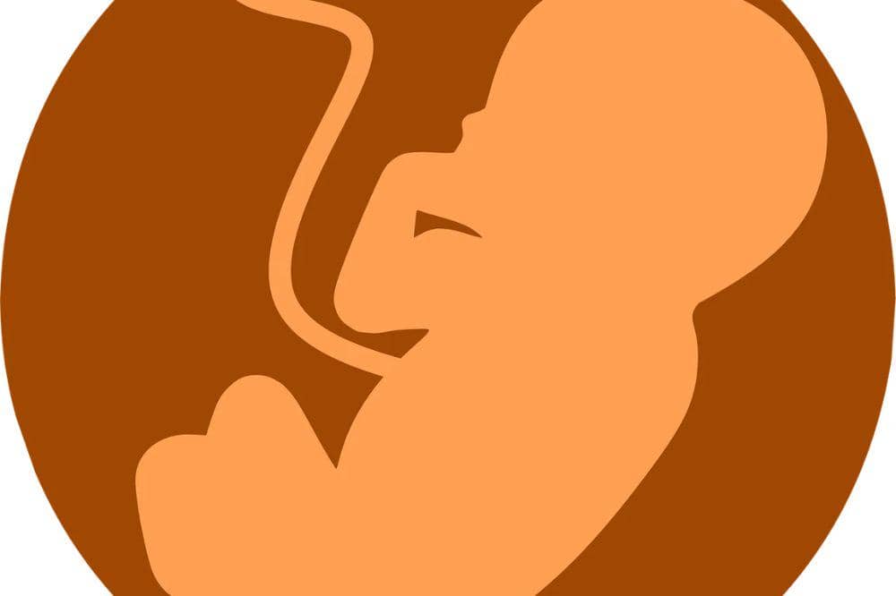 Bagaimana Cara Menguburkan Tali Pusar Bayi yang sesuai Syariat