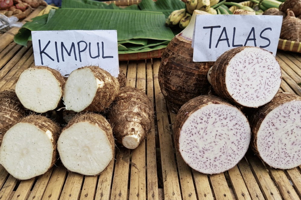Apa Perbedaan Kimpul dan Talas? Kenali Ciri-Cirinya
