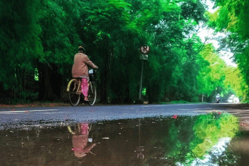 Hutan Bambu Keputih
