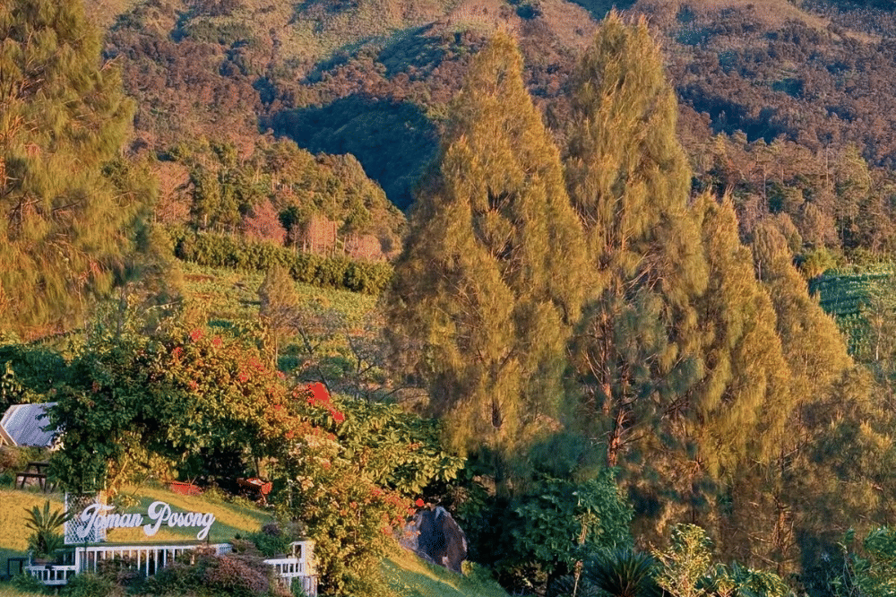 Wisata Posong