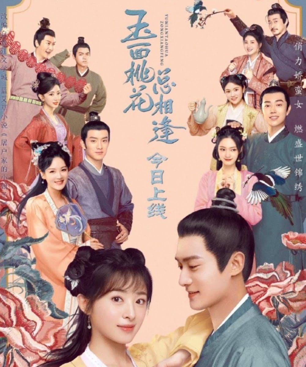 Drama China Tentang Ibu Hamil 2