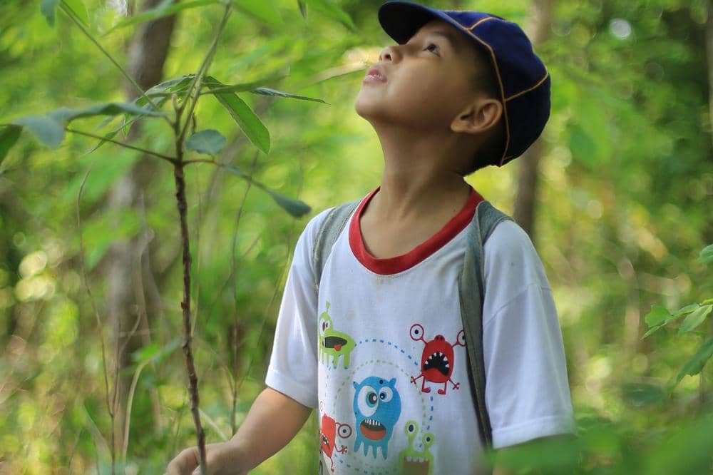 7 Pengaruh Warna Hijau terhadap Perkembangan Anak 7