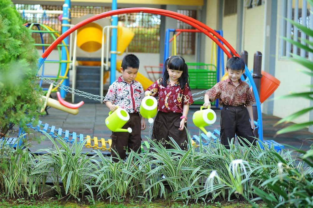 7 Pengaruh Warna Hijau terhadap Perkembangan Anak
