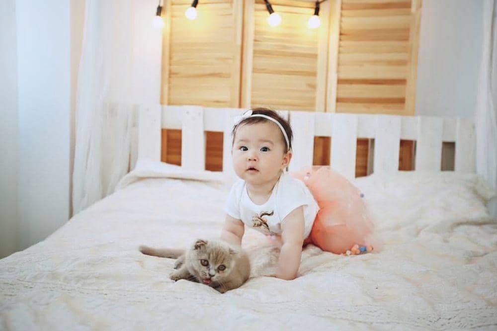 Benarkah memelihara kucing bisa mengurangi reaksi alergi pada bayi?