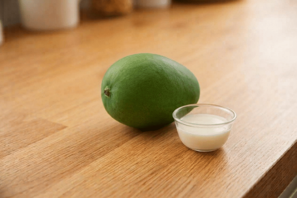 Bahan-bahan puree buah mangga