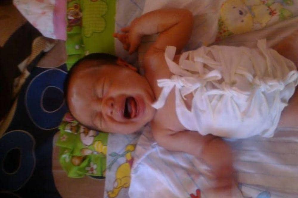 Fakta tentang Gurita Bayi