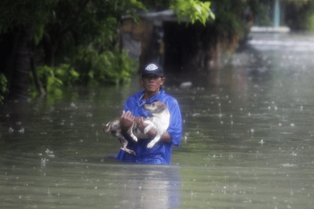 Berbuat Baik kepada Hewan dan Tumbuhan