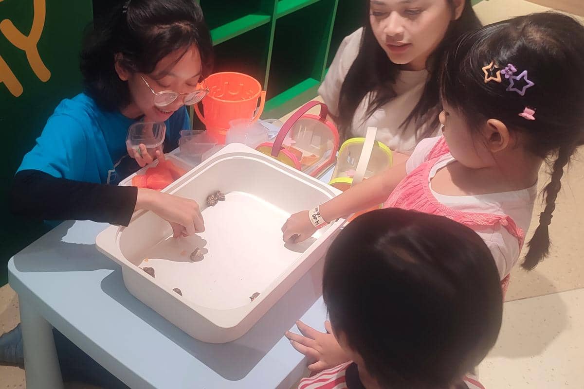 Petting Corner anak bisa bawa pulang kelomang di Play At Sora