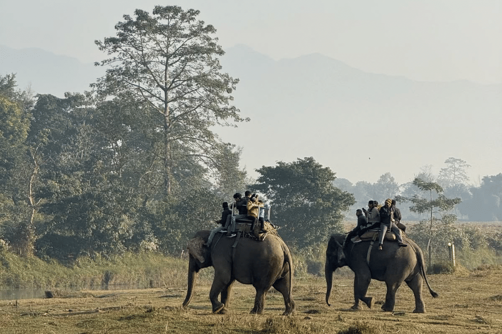 Taman Nasional Chitwan