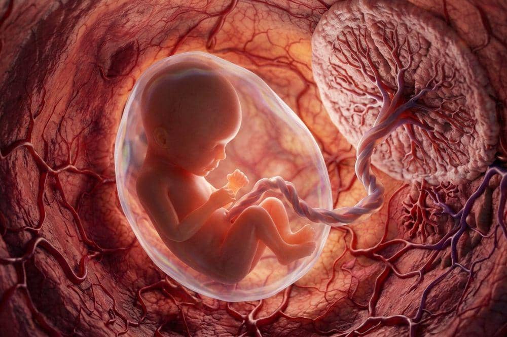 Benarkah Janin Mengambil Kalsium dari Tubuh Mama? Ini Faktanya