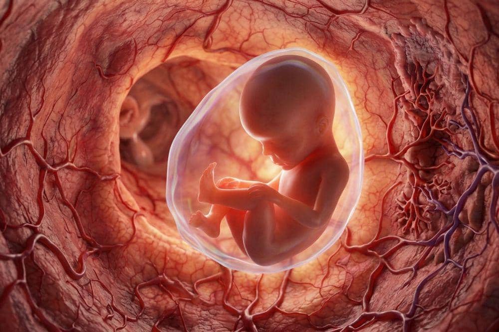 Benarkah janin mengambil kalsium dari tubuh mama?