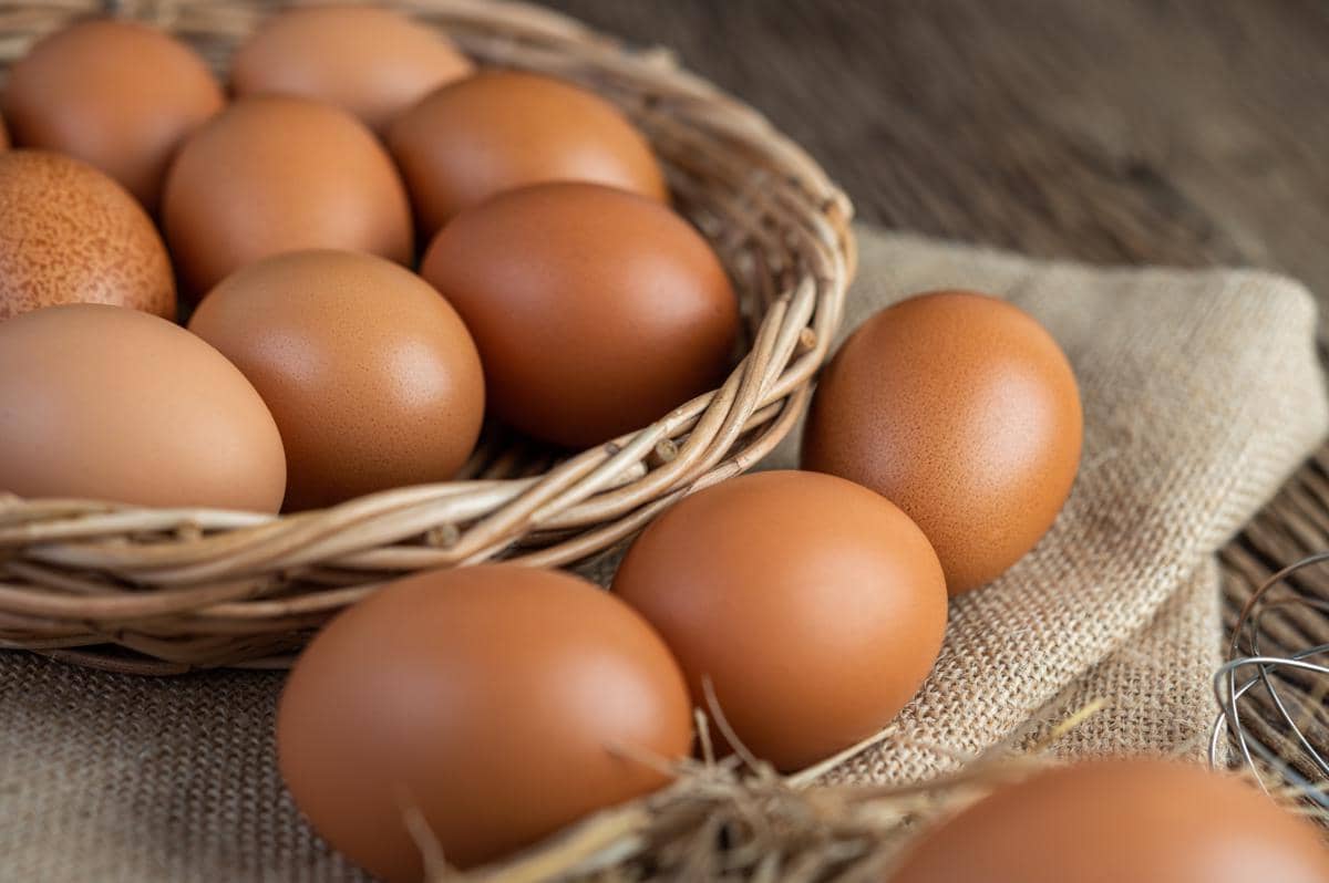 Telur salah satu protein hewani yang bagus untuk tumbuh kembang anak