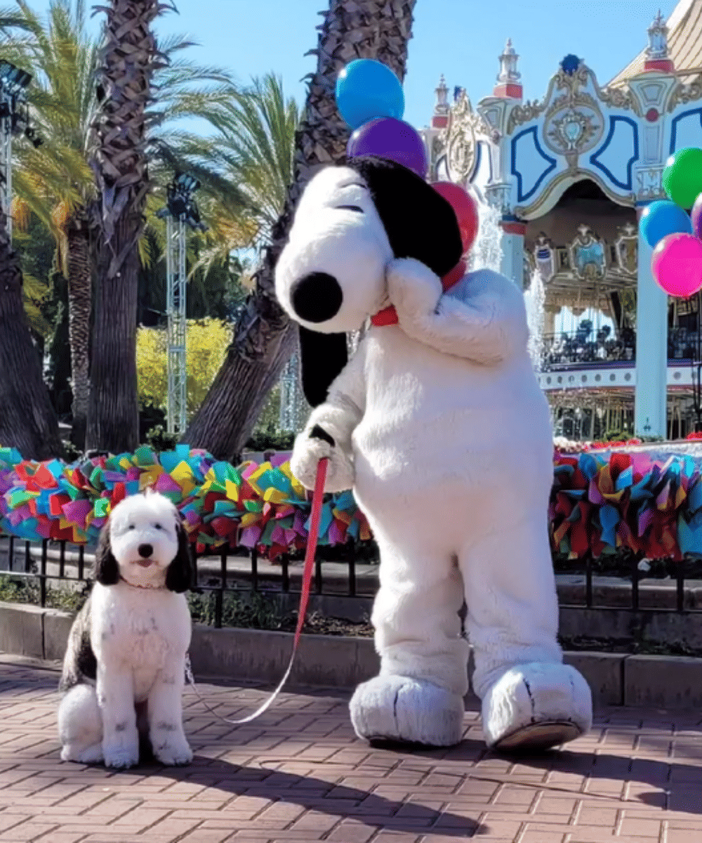 Wajahnya disebut sangat mirip dengan Snoopy