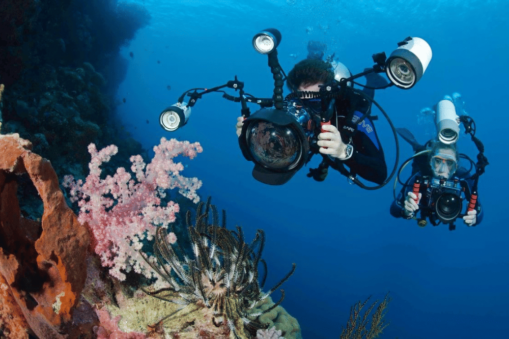 Fotografer dan Videografer Bawah Air