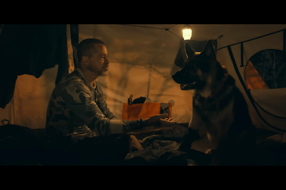 7 Fakta Anjing di Film Heart of the Beast