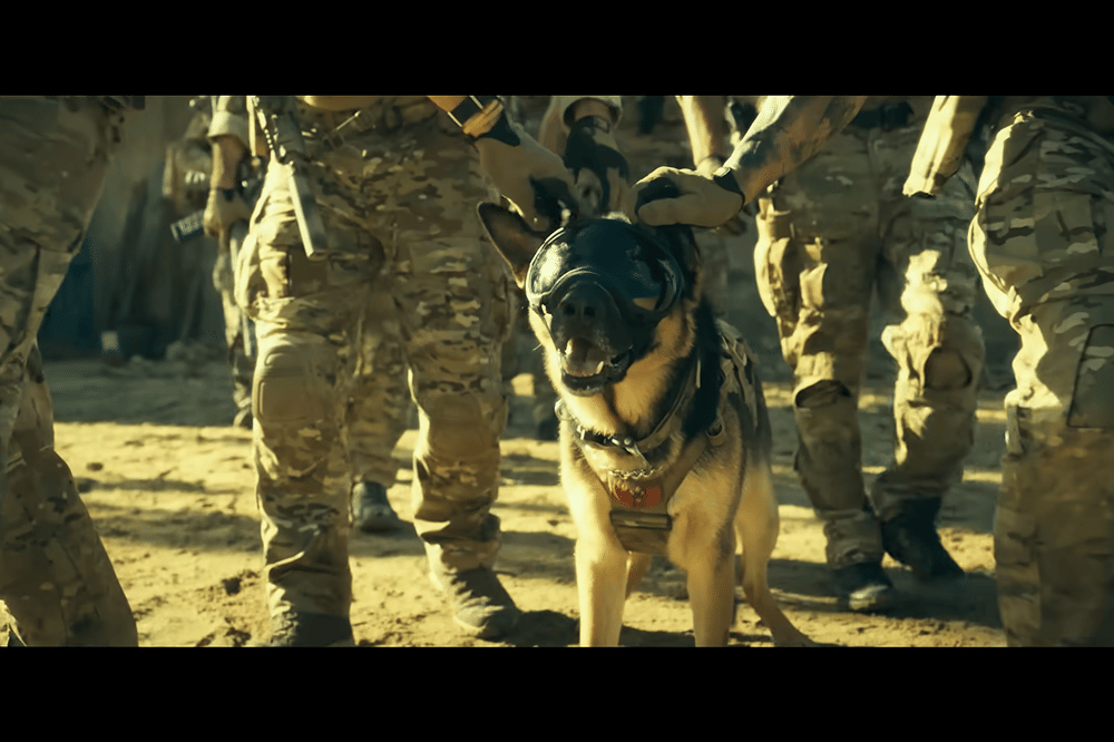 7 Fakta Anjing di Film Heart of the Beast
