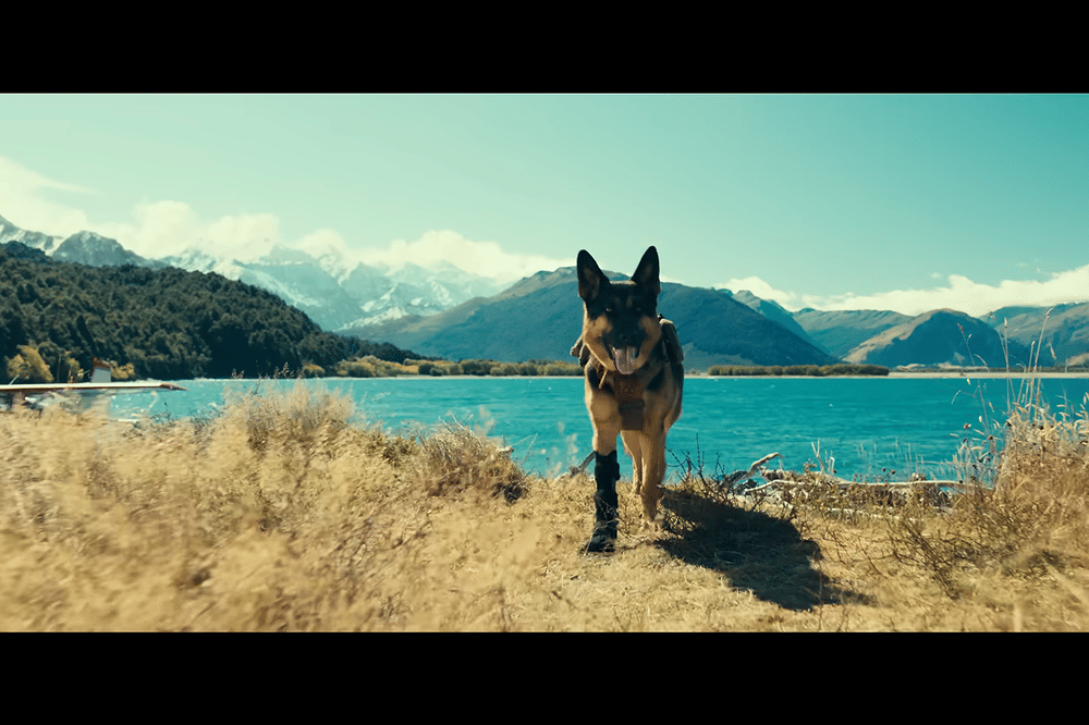 7 Fakta Anjing di Film Heart of the Beast