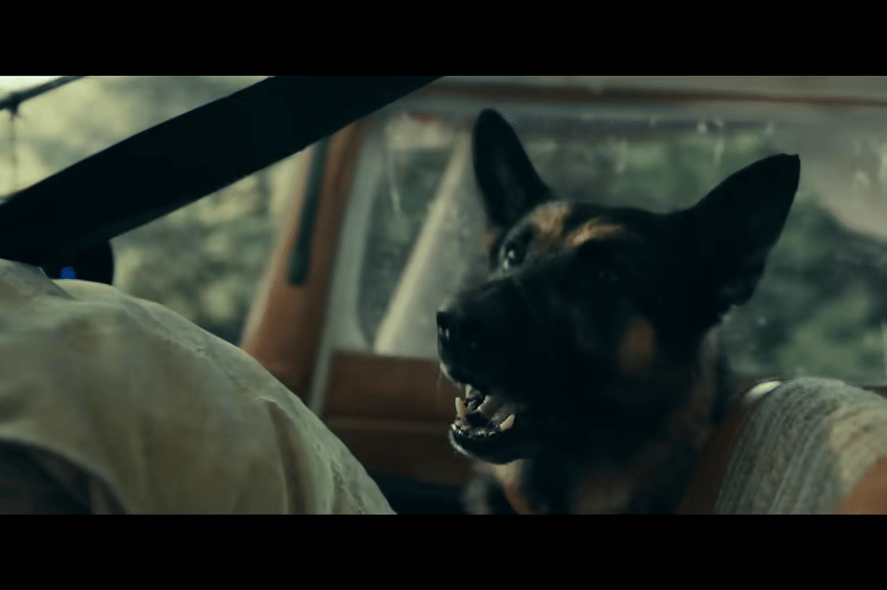 7 Fakta Anjing di Film Heart of the Beast