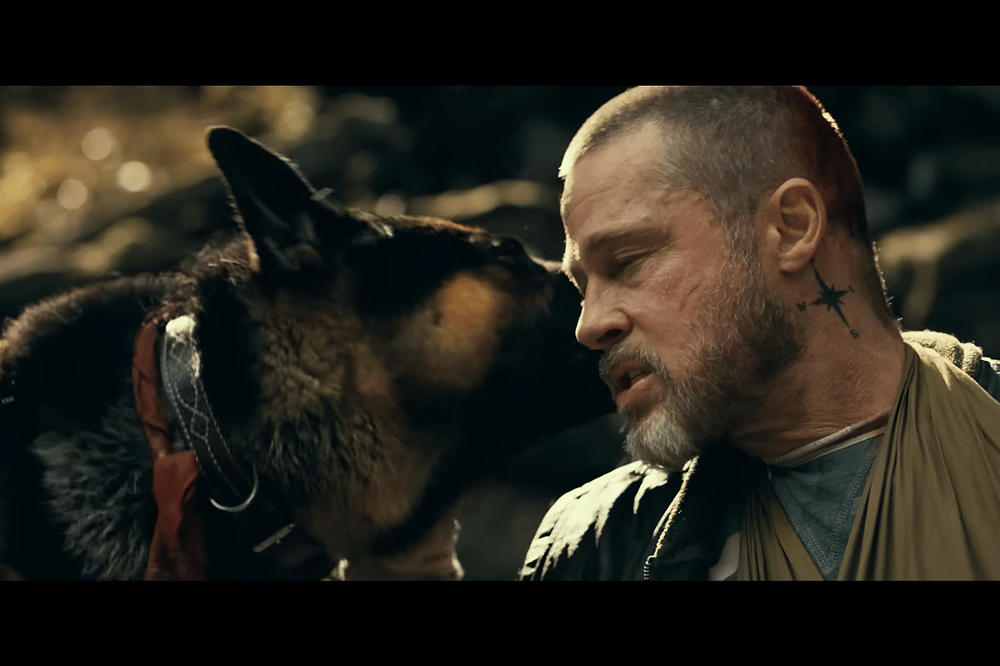 7 Fakta Anjing di Film Heart of the Beast