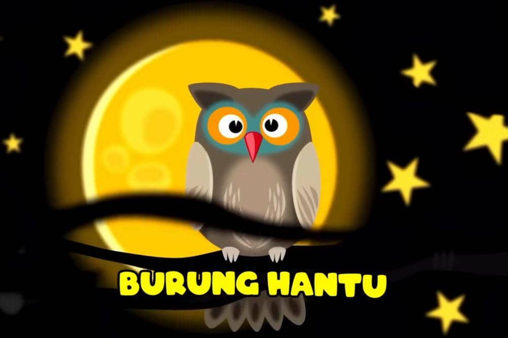 Lirik Lagu 'Burung Hantu' Kinderflix, Perkenalkan Hewan di Malam Hari