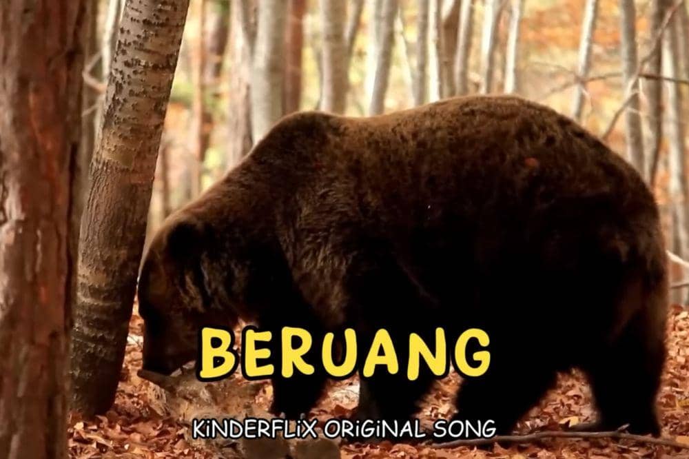 Lirik Lagu 'Beruang' Kinderflix, Kenalkan Hewan Besar Pemakan Daging