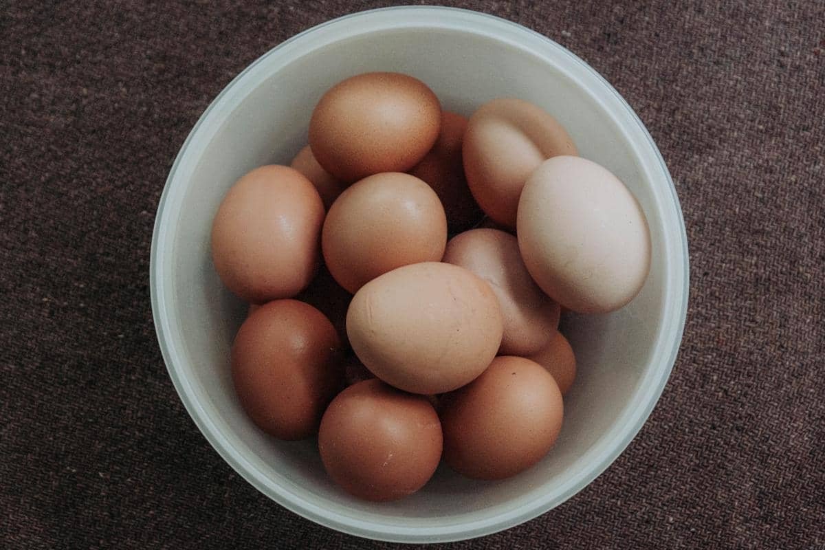 Telur ayam