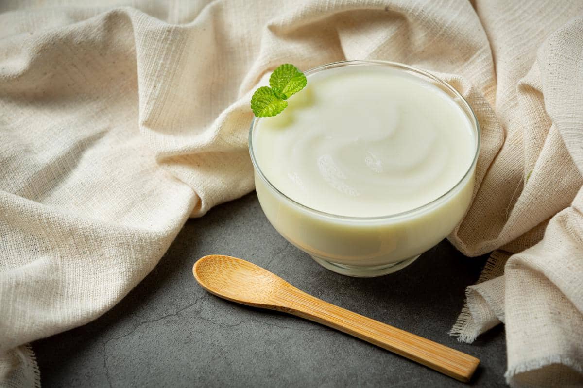 Yoghurt