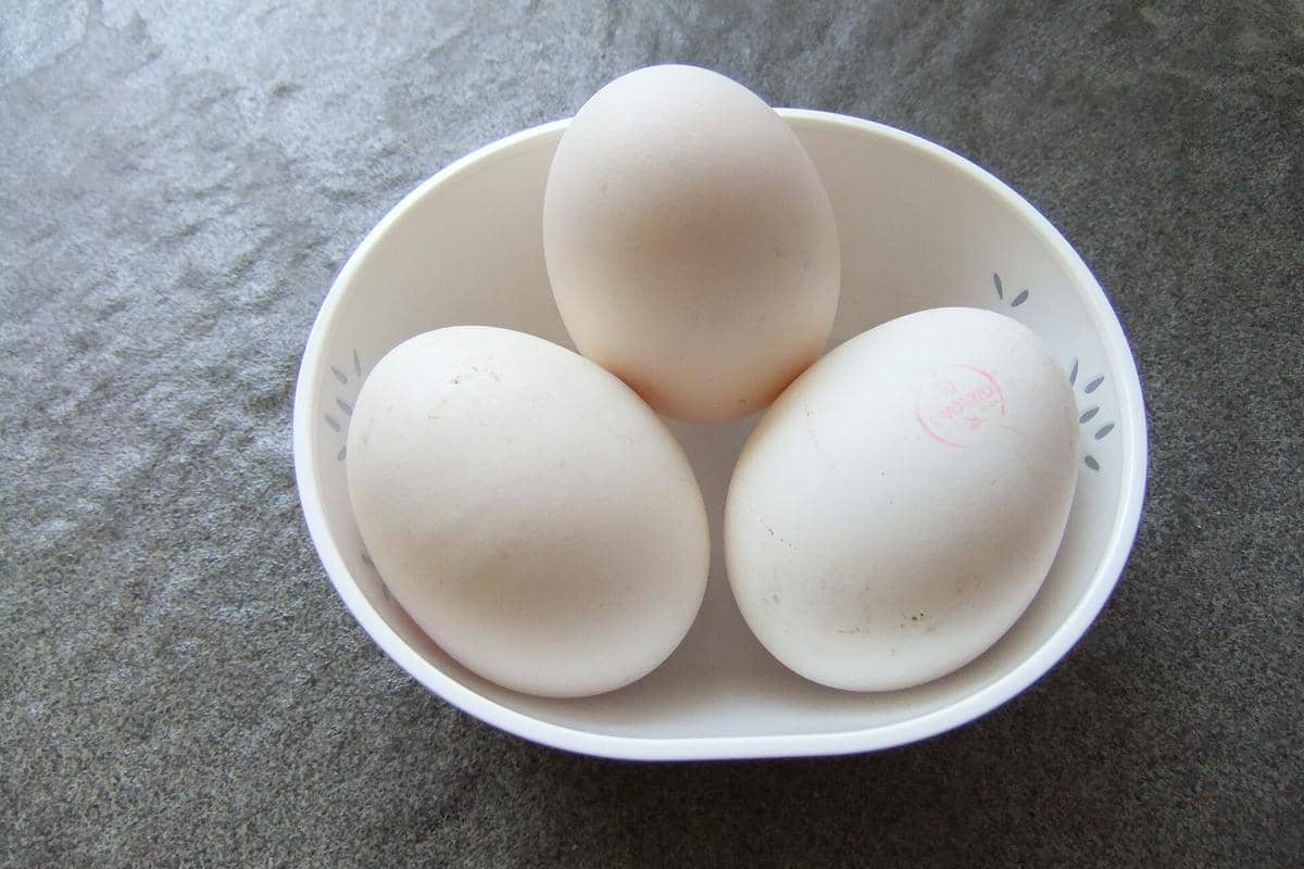Telur ayam kampung