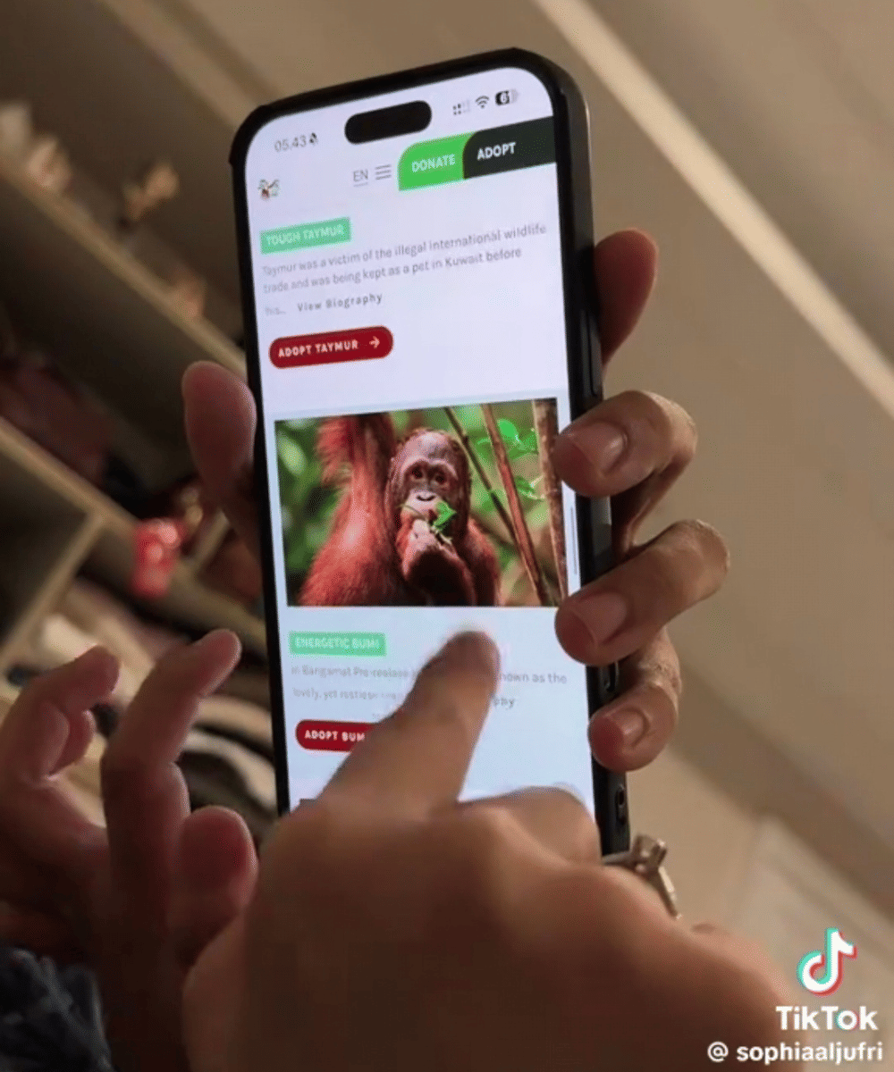 Ucel mengadopsi orang utan untuk ikut menjaga kelestariannya