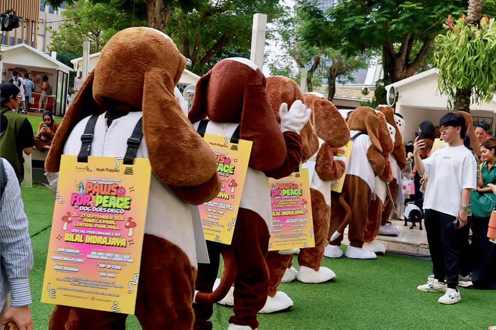 Keseruan Dog Does Disco 2026, Festival Wellness Bareng Anabul