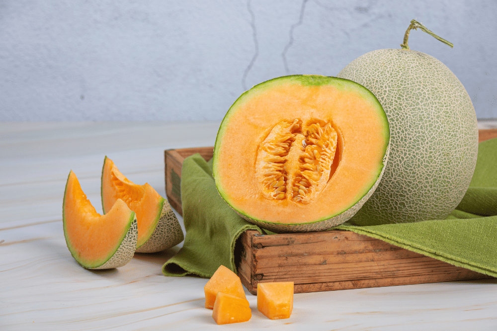 Buah Melon