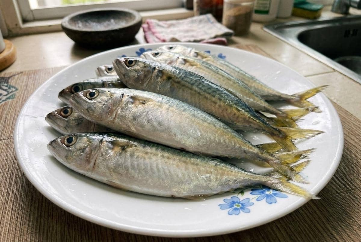 5 Resep Ikan Kembung Tanpa Digoreng, Enak dan Bernutrisi