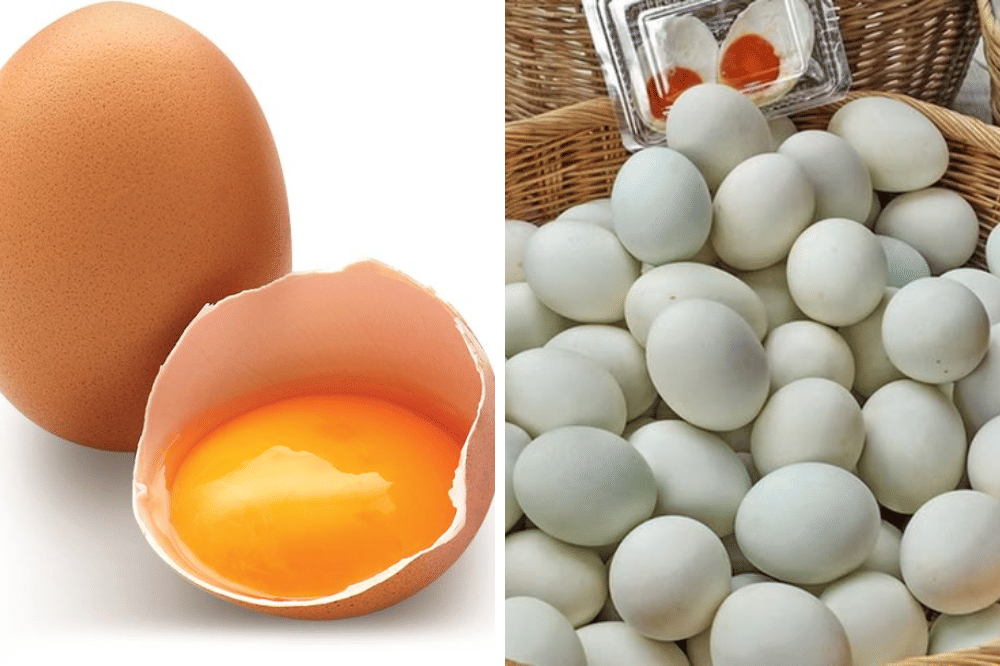 Telur ayam dan telur bebek