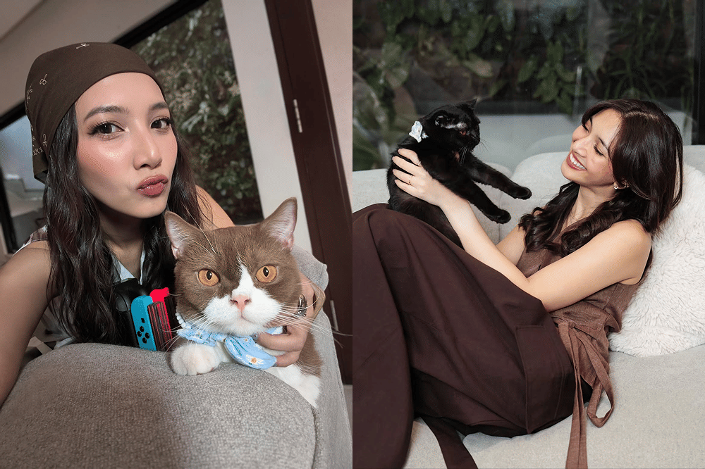 5 Fakta Buna Kucing Sheila Dara 8
