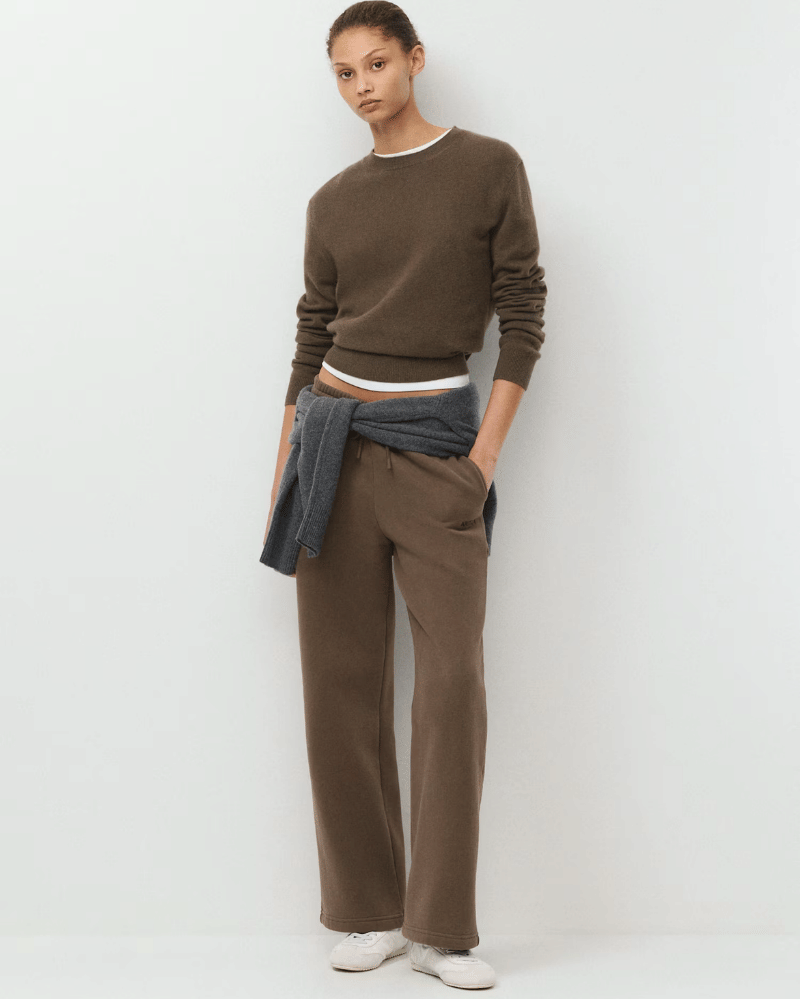 brown outfit (4).png