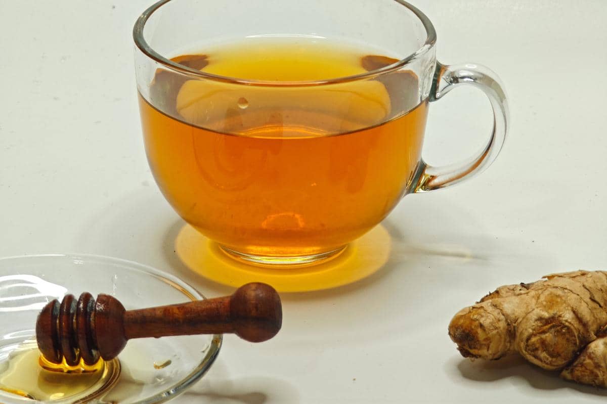 Konsumsi minuman herbal