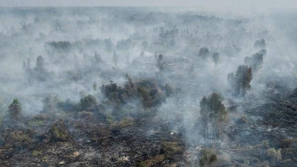 Kemenkes Catat 64.913 Balita Mengalami ISPA akibat Karhutla